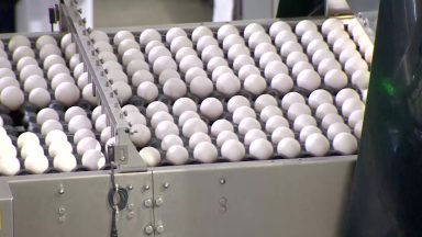 Aumenta a procura durante a quaresma e preços dos ovos sobem