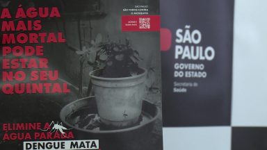 Casos de dengue aumentam e São Paulo decreta estado de emergência