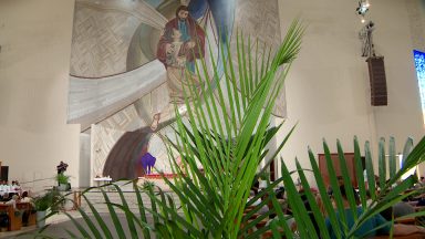 Veja como foi o Domingo de Ramos no Santuário do Pai das Misericórdias