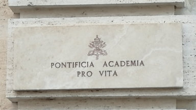 Não pode haver “direito” de suprimir vida humana, diz Pontifícia Academia