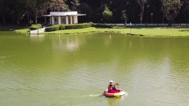 Conheça o Parque das Águas de São Lourenço, em Minas Gerais