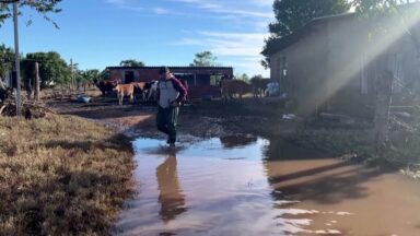 Produtores rurais gaúchos lutam para recomeçar no trabalho