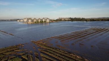 Força-tarefa vai mobilizar estados na recuperação da agropecuária no RS