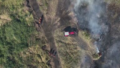 Vida no Pantanal está ameaçada com os incêndios