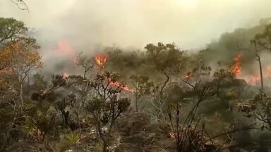 Falta de chuva aumenta o risco de queimadas em Minas Gerais