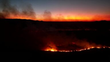 Estudo mostra que um cada quatro hectares do Brasil sofre com incêndios