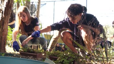 Programa ensina aos jovens os cuidados com a natureza