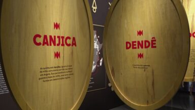 Em São Paulo, exposição conta um pouco da história linguística brasileira