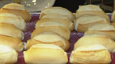 Feira mostra novas técnicas e tecnologias na produção de pães