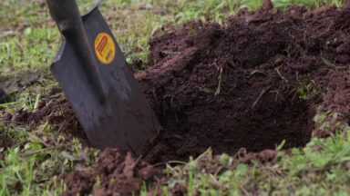 Missão Sementes de Solidariedade ajuda no replantio da vegetação no RS