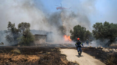 Arcebispo de Atenas pede estratégias para prevenção de incêndios