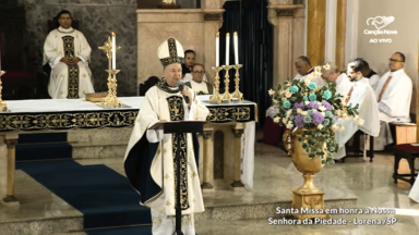 A Virgem da Piedade intercede pela Igreja em Lorena, afirma bispo