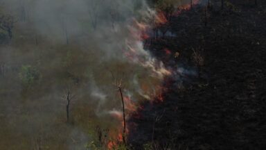 Parque Nacional de Brasília registra focos de incêndio no fim de semana