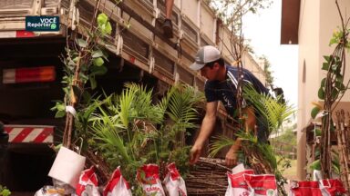 Missão Semente de Solidariedade distribui kits com mudas e sementes