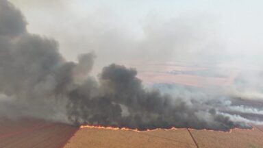 São Paulo fecha parques temporariamente para evitar focos de incêndio