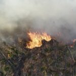 Baixa umidade do ar afeta respiração e provoca incêndios no País