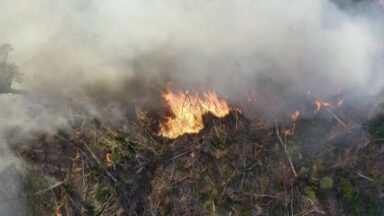 Baixa umidade do ar afeta respiração e provoca incêndios no País