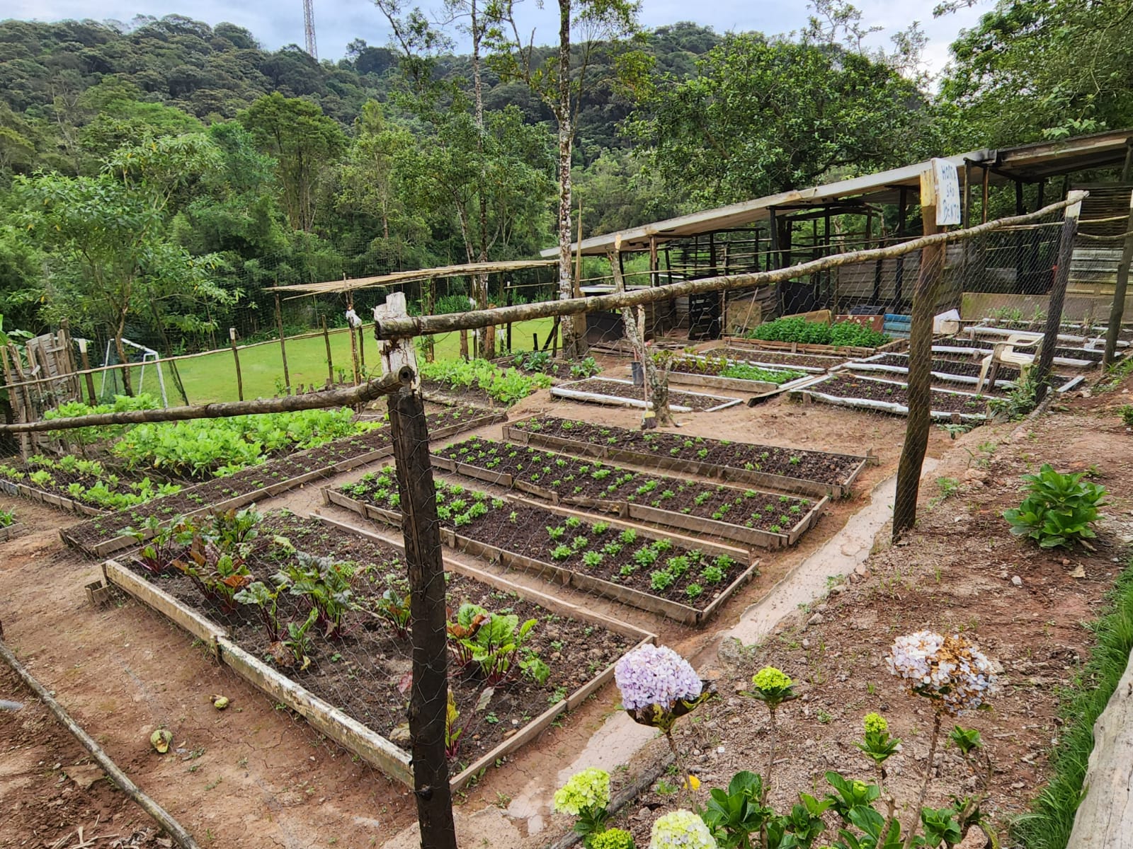 São Bernardo do Campo