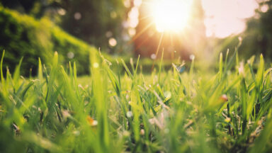 Primavera chega com temperaturas acima da média e promessa de chuva