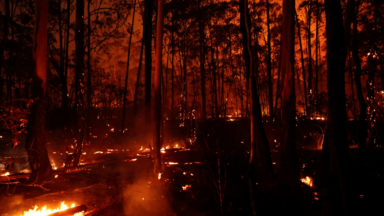 Incêndios são causa de baixa umidade do ar em Brasília e Minas Gerais