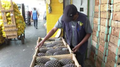 Mudanças climáticas podem gerar aumento no preço das frutas