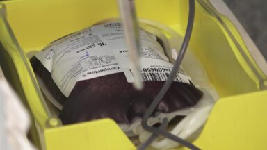 USP e Fundação Pró-Sangue promovem campanha de doação de sangue