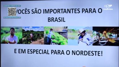 Saiba como organizar suas contas e aproveitar o 13º salário