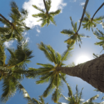 Verão começa neste sábado e especialistas destacam cuidados