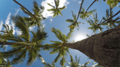 Verão começa neste sábado e especialistas destacam cuidados