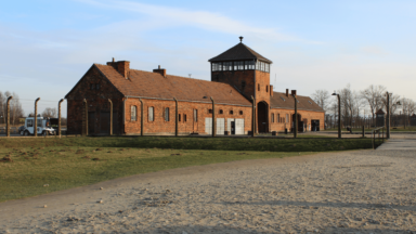 Papa recorda Dia Internacional em Memória das Vítimas do Holocausto