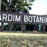 Jardim Botânico de Brasília celebra 40 anos de atividades