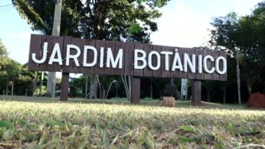 Jardim Botânico de Brasília celebra 40 anos de atividades