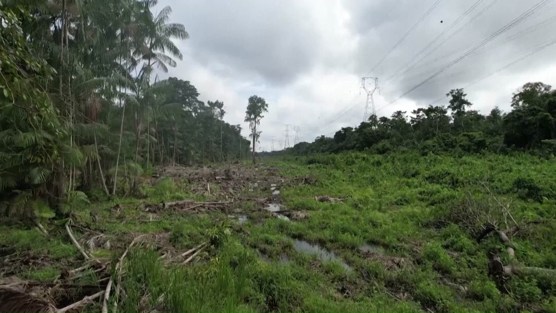 Des)matando as Hidrelétricas: A Ameaça do Desmatamento na Amazônia para a  Energia do Brasil - CPI, image size:1920x1080