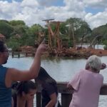 Em Brasília, atrações gratuitas encantam a população