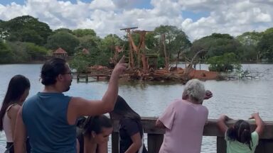 Em Brasília, atrações gratuitas encantam a população