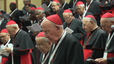 Cardeais se reúnem na última Congregação Geral antes do conclave