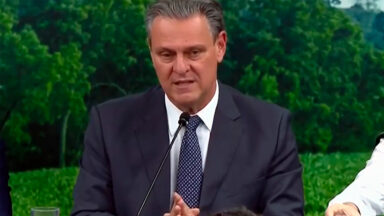 Gripe aviária não terá impacto no preço do frango, garante ministro