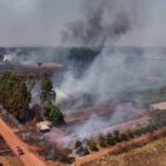 Brasil registra aumento nas áreas de queimadas em 2024