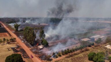 Brasil registra aumento nas áreas de queimadas em 2024