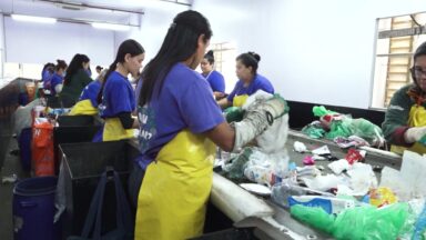 Dia Mundial do Meio Ambiente: um exemplo de cuidado com casa comum