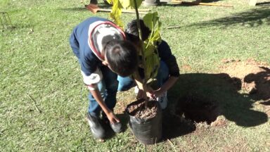 Crianças participam de atividades na Semana Nacional do Meio Ambiente