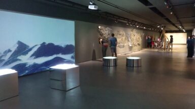 Em Belo Horizonte, exposição estimula um novo olhar sobre a natureza