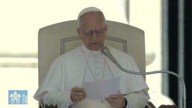 Papa Leão XIV alerta para os riscos do excesso de conexões digitais
