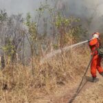 Tempo seco aumenta risco de incêndios em Brasília