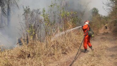 Tempo seco aumenta risco de incêndios em Brasília