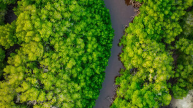 Lançamento da Carta de Demandas, vozes do Território da Amazônia