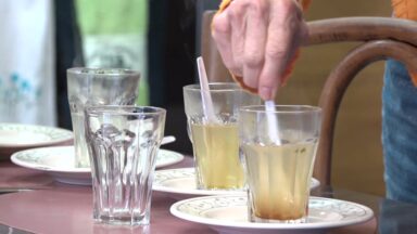 Consumo de chás cresce no Brasil, bebida exige cuidados no preparo