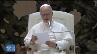 Na catequese, Papa Leão XIV pede forças para perseverarmos no amor
