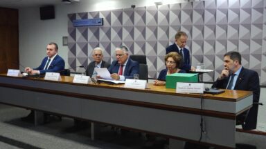 Audiência no Senado debate interrupção de gravidez