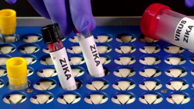 Governo vai indenizar três mil crianças vítimas do vírus Zika